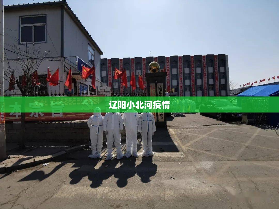 辽阳小北河疫情/辽阳县小北河黑恶势力