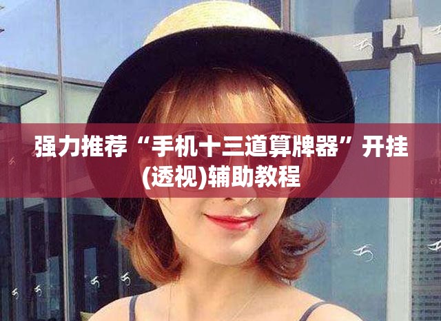 强力推荐“手机十三道算牌器	”开挂(透视)辅助教程