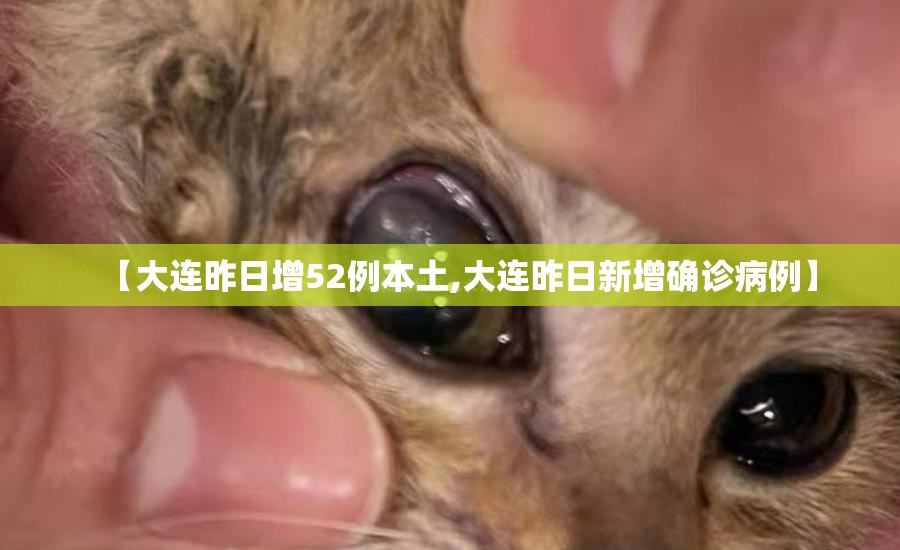 【大连昨日增52例本土,大连昨日新增确诊病例】