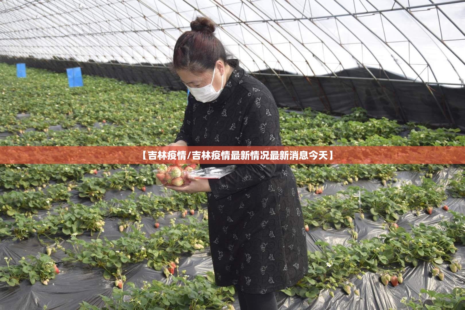 【吉林疫情/吉林疫情最新情况最新消息今天】