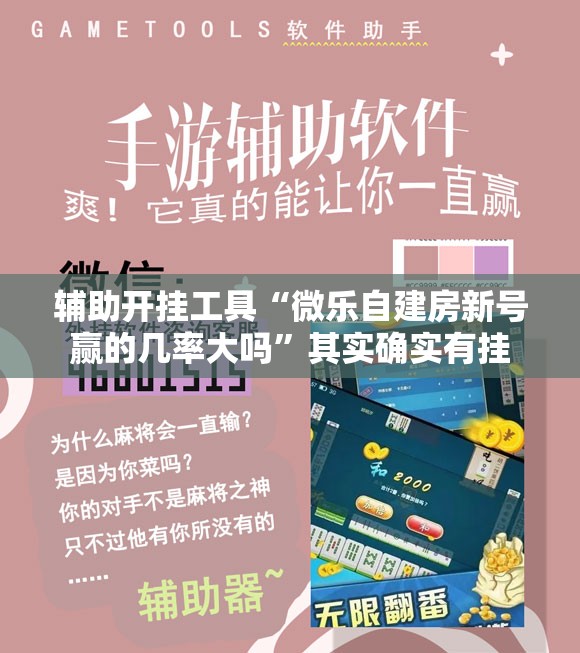 辅助开挂工具“微乐自建房新号赢的几率大吗”其实确实有挂