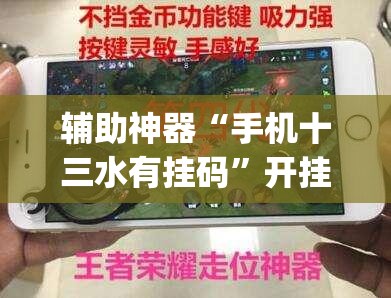 辅助神器“手机十三水有挂码”开挂(透视)辅助神器