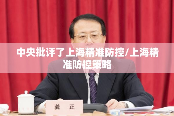 中央批评了上海精准防控/上海精准防控策略
