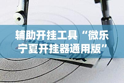 辅助开挂工具“微乐宁夏开挂器通用版”(透视)其实确实有挂