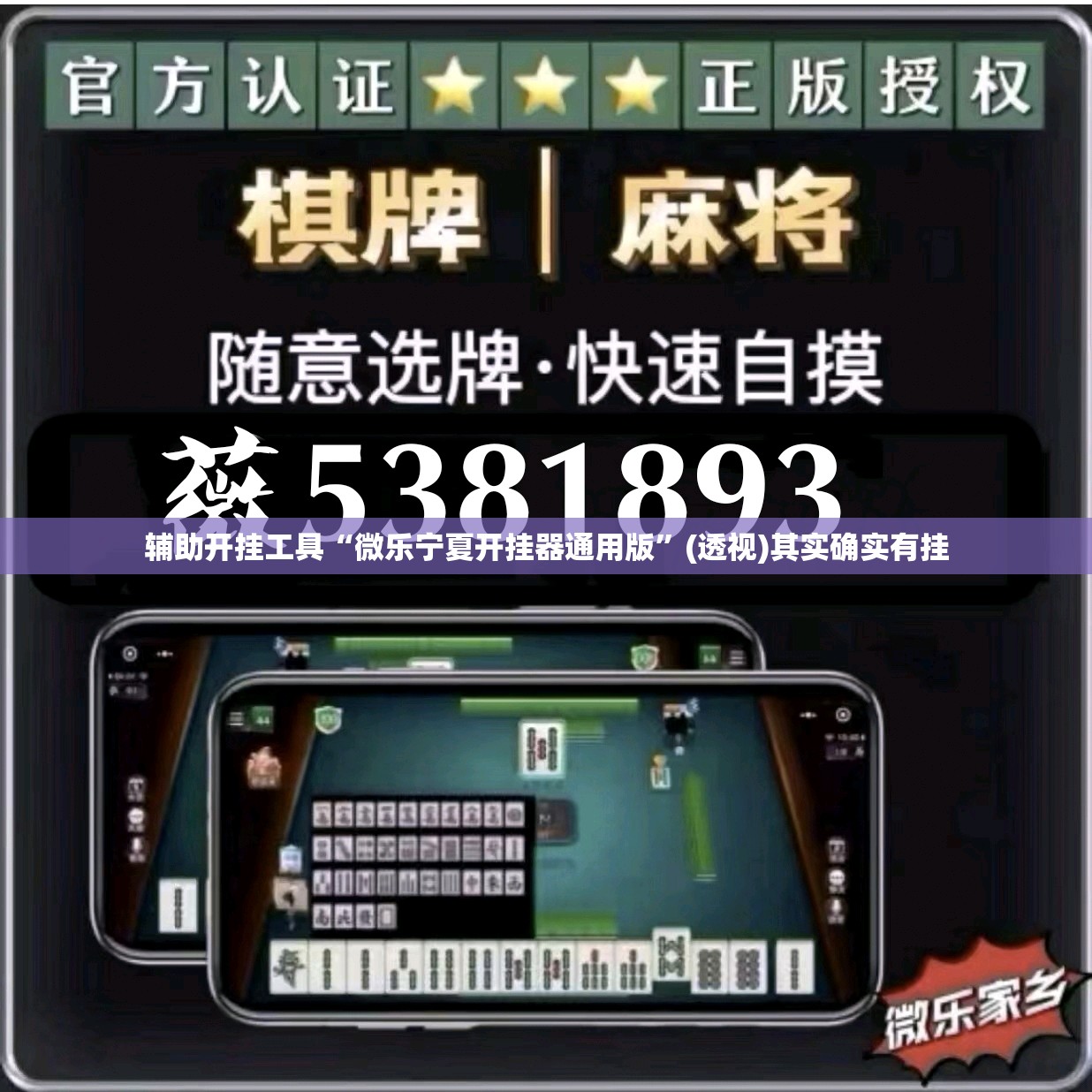 辅助开挂工具“微乐宁夏开挂器通用版”(透视)其实确实有挂