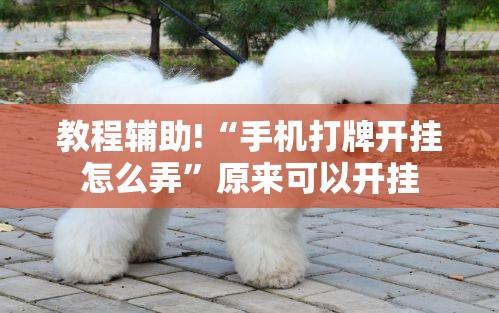 教程辅助!“手机打牌开挂怎么弄”原来可以开挂