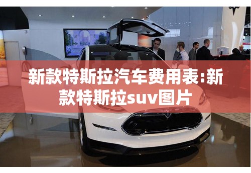 新款特斯拉汽车费用表:新款特斯拉suv图片