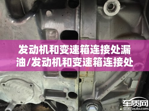发动机和变速箱连接处漏油/发动机和变速箱连接处漏油是哪里的问题?
