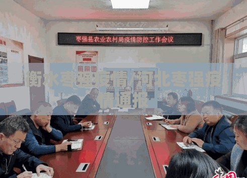 衡水枣强疫情/河北枣强疫情通报 衡水枣强疫情/河北枣强疫情通报