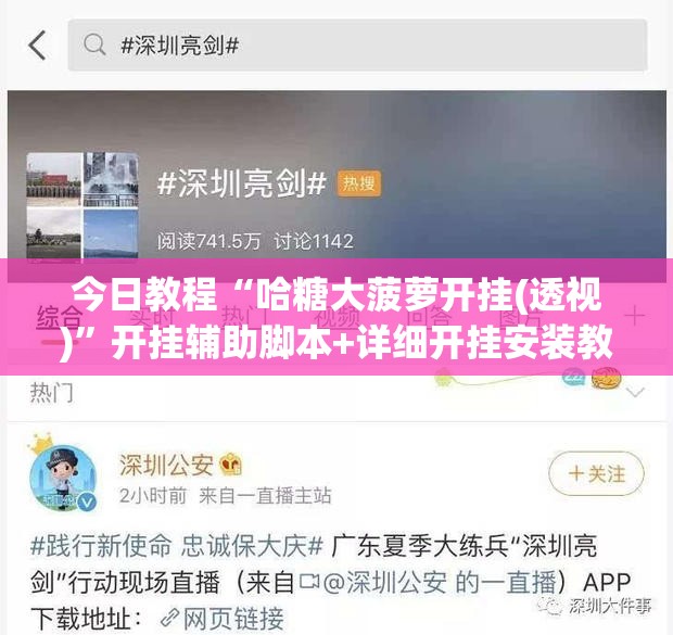 今日教程“哈糖大菠萝开挂(透视)”开挂辅助脚本+详细开挂安装教程