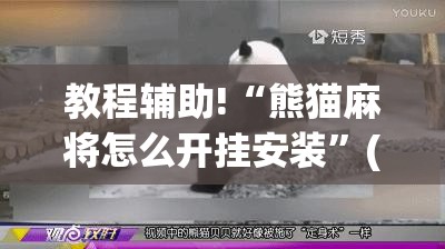 教程辅助!“熊猫麻将怎么开挂安装”(透视挂)辅助下载教程