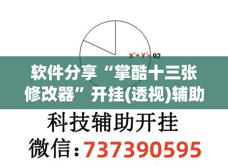软件分享“掌酷十三张修改器”开挂(透视)辅助神器