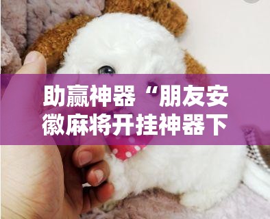 助赢神器“朋友安徽麻将开挂神器下载”科技辅助神器手机版