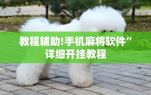 教程辅助!手机麻将软件”详细开挂教程