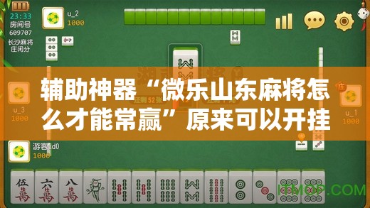 辅助神器“微乐山东麻将怎么才能常赢”原来可以开挂