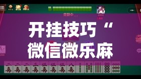 开挂技巧“微信微乐麻将小程序有挂吗”详细分享装挂步骤
