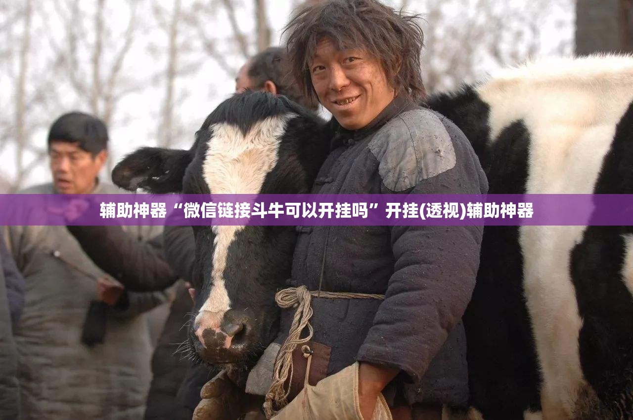 辅助神器“微信链接斗牛可以开挂吗”开挂(透视)辅助神器