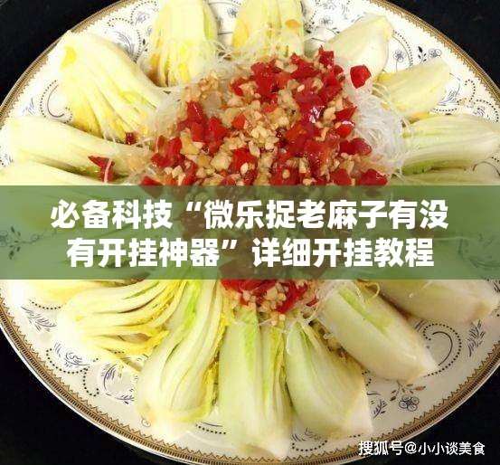 必备科技“微乐捉老麻子有没有开挂神器”详细开挂教程