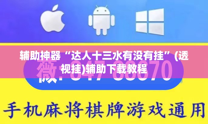 辅助神器“达人十三水有没有挂”(透视挂)辅助下载教程