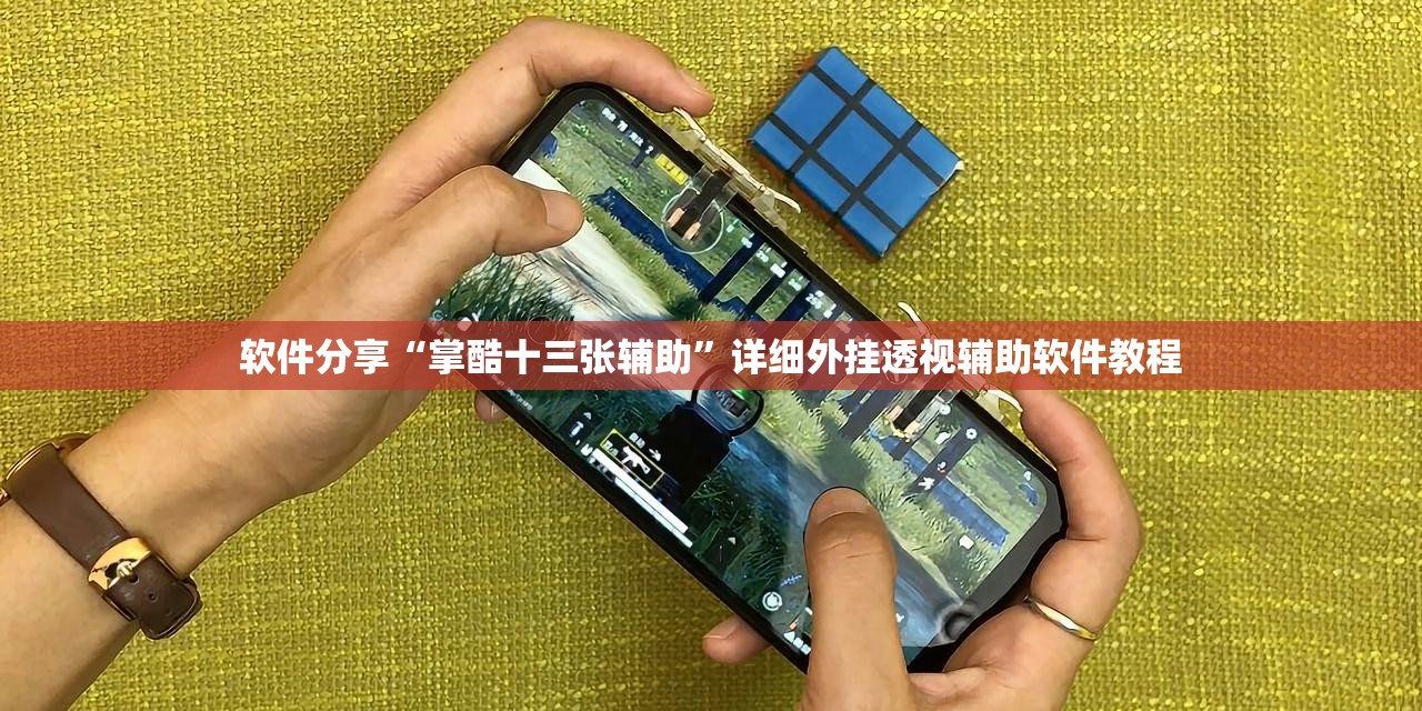 软件分享“掌酷十三张辅助”详细外挂透视辅助软件教程