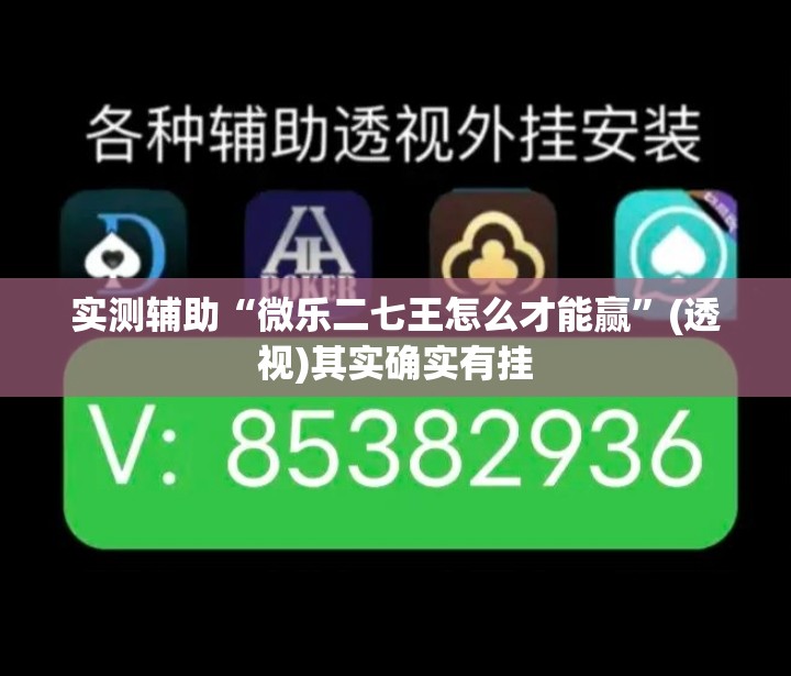 实测辅助“微乐二七王怎么才能赢”(透视)其实确实有挂