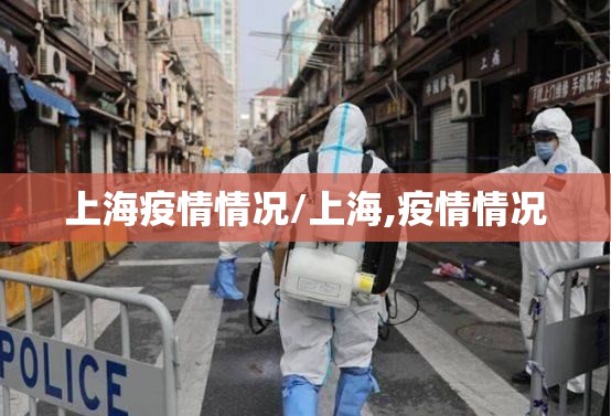 上海疫情情况/上海,疫情情况