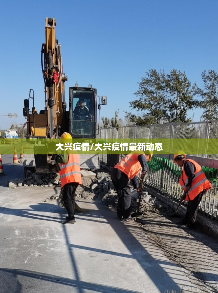 大兴疫情/大兴疫情最新动态
