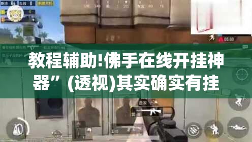 教程辅助!佛手在线开挂神器”(透视)其实确实有挂