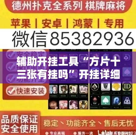 辅助开挂工具“方片十三张有挂吗”开挂详细教程