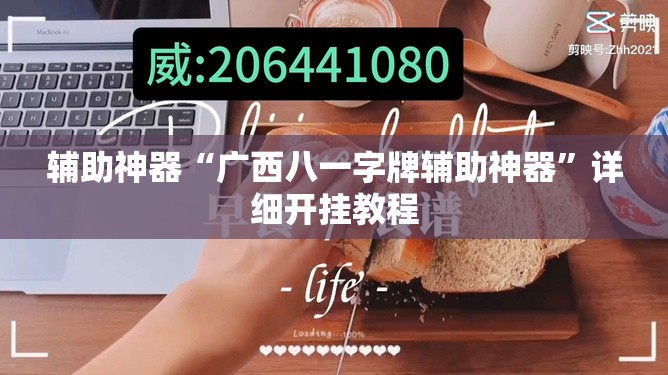 辅助神器“广西八一字牌辅助神器”详细开挂教程