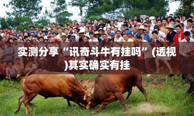 实测分享“讯奇斗牛有挂吗”(透视)其实确实有挂
