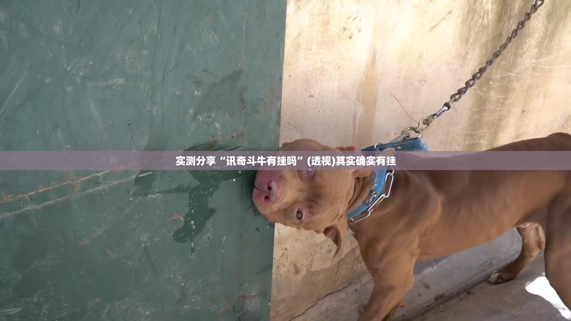 实测分享“讯奇斗牛有挂吗	”(透视)其实确实有挂