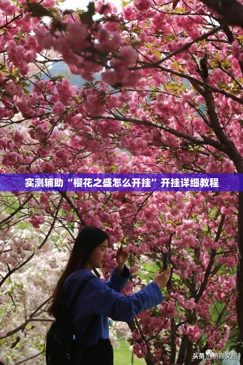 实测辅助“樱花之盛怎么开挂”开挂详细教程