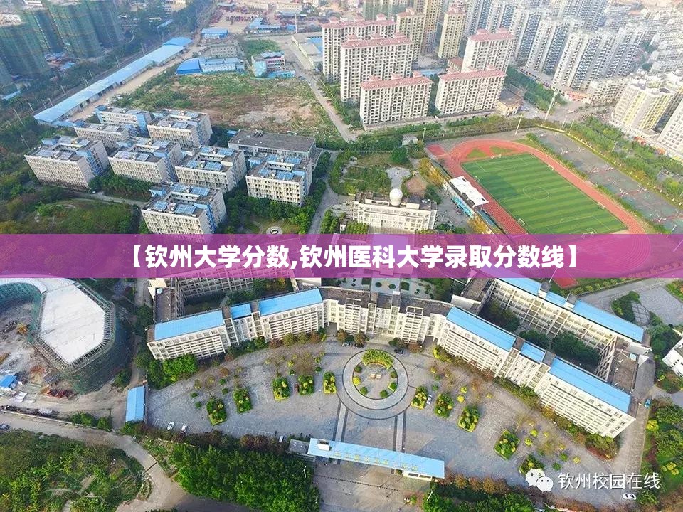 【钦州大学分数,钦州医科大学录取分数线】