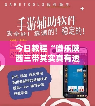 今日教程“微乐陕西三带其实真有透视挂”细辅助教程分享