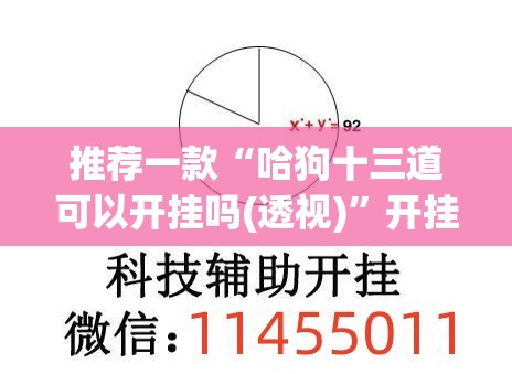 推荐一款“哈狗十三道可以开挂吗(透视)”开挂辅助脚本+详细开挂安装教程