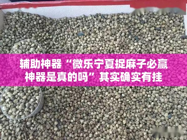 辅助神器“微乐宁夏捉麻子必赢神器是真的吗”其实确实有挂