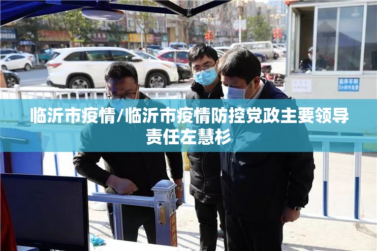 临沂市疫情/临沂市疫情防控党政主要领导责任左慧杉