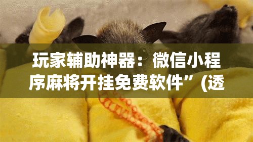 玩家辅助神器：微信小程序麻将开挂免费软件”(透视)其实确实有挂