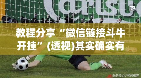 教程分享“微信链接斗牛开挂	”(透视)其实确实有挂