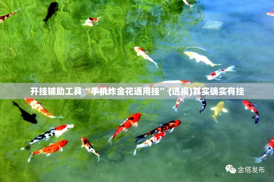 开挂辅助工具“手机炸金花通用挂”(透视)其实确实有挂