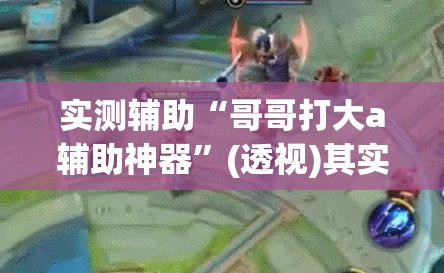 实测辅助“哥哥打大a辅助神器”(透视)其实确实有挂