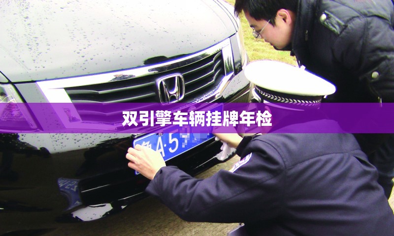 【双引擎车辆挂牌年检/双引擎上什么牌】