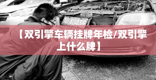 【双引擎车辆挂牌年检/双引擎上什么牌】