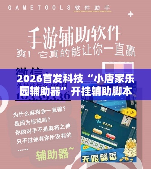 2026首发科技“小唐家乐园辅助器”开挂辅助脚本+详细开挂安装教程