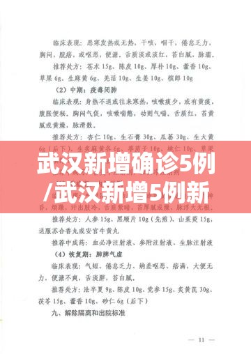 武汉新增确诊5例/武汉新增5例新冠肺炎