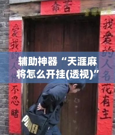 辅助神器“天涯麻将怎么开挂(透视)”开挂辅助脚本+详细开挂安装教程