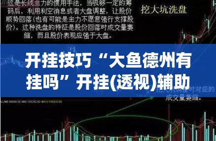 开挂技巧“大鱼德州有挂吗”开挂(透视)辅助教程