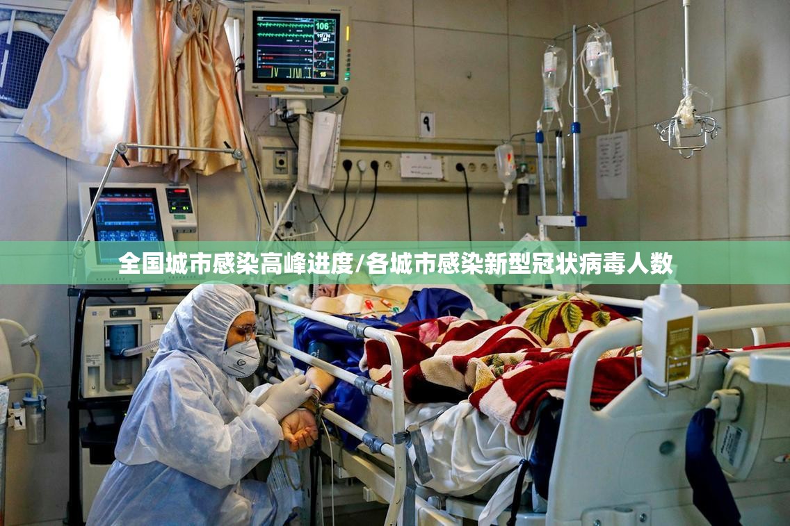 全国城市感染高峰进度/各城市感染新型冠状病毒人数