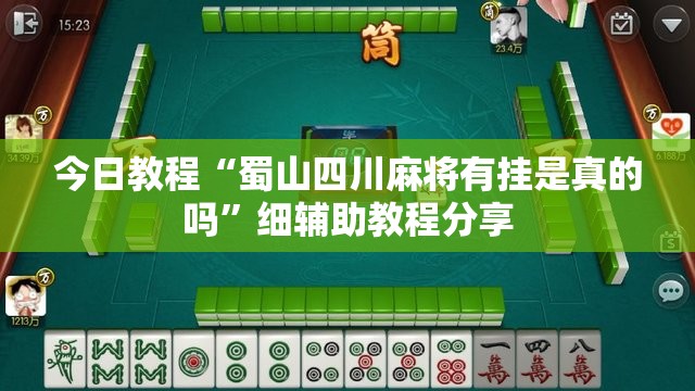 今日教程“蜀山四川麻将有挂是真的吗	”细辅助教程分享
